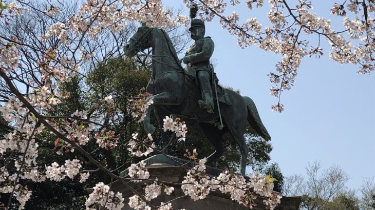 上野の桜 2019 ゆで太郎