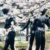 千鳥ヶ淵 桜 2024 感想レポ 日本大学 入学式 おめでとう