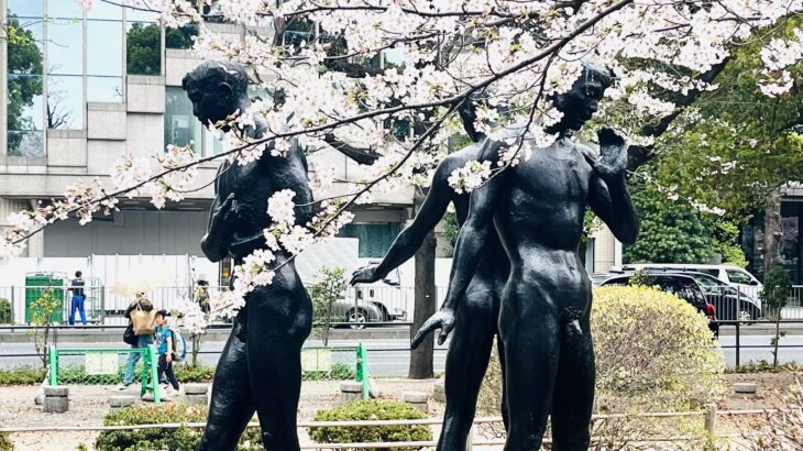 千鳥ヶ淵 桜 2024 感想レポ 日本大学 入学式 おめでとう