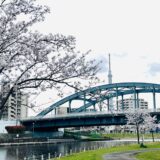 旧中川 江戸川区 桜 2024 感想レポ 〜鳥パラダイス〜 四つ葉のクローバーの聖地